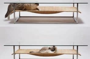 Cat hammock & Coffe table